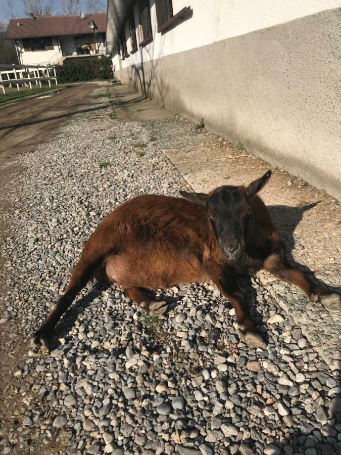 Séjour à la ferme La Fornace Centro Ippico