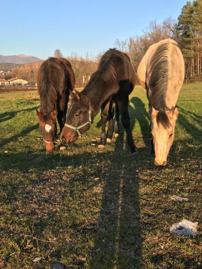 La Fornace Centro Ippico Séjour à la ferme Côme